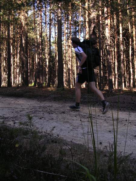Hop na tetm kilometru. Trasa ultramaratonu je cel situovna v rozlehlch krkaveckch lesch.