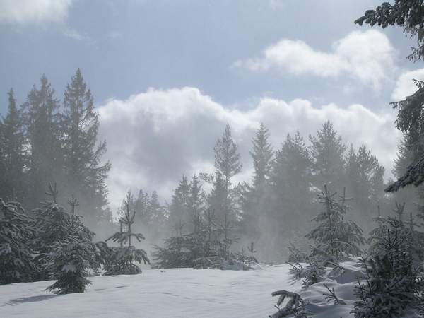 Vtrn vry zvedajc umrzl praan proti modrmu nebi s blmi oblaky, scnu dopluj siluety malch stromek i vzrostlho lesa.