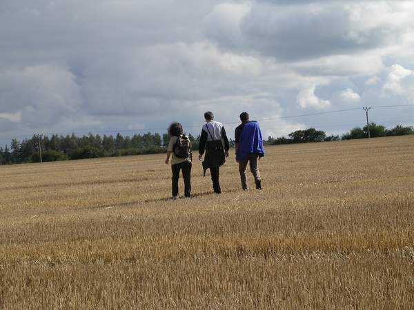 Trojice Markza (vlevo), Houbk a Maran jdouc nap polem. Vkol strnit, v dlce les a nebe s oblaky.